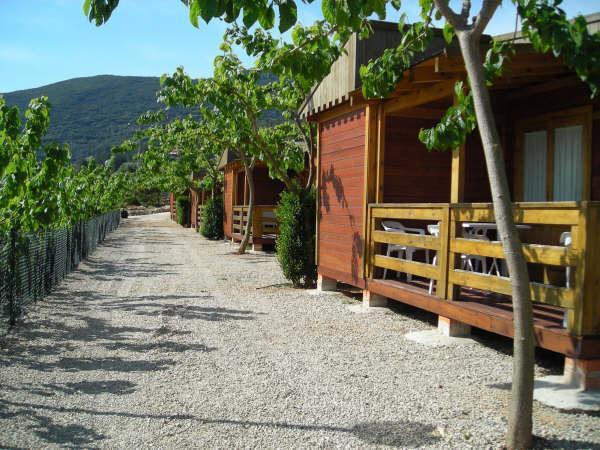 Cabanas Y Bungalows La Falaguera Bárig Buitenkant foto